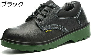 SC Y jp Z[teB[V[Y h  hh y ~ ƌC IV ܐی H i q z |c JWA ubN ϖՐ tbg 