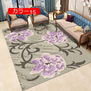 �y���V���� �f�U�C�� �J�[�y�b�g 60*90cm �y���V���� ������� ����~�� �ᔽ�� �h�� �N�b�V������ ���g�Ή� �J���[14 �z�b�g�J�[�y�b�g�Ή� �L������ ���[���s�A���� �k���e�C�X�g �唻�T