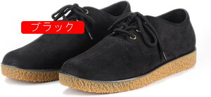 JWAV[YHCV[YhY[XAbvXG[hƌCRbNV[YLb`~߉J̓~J䕗ʋΒʊwȃfUCXj[J[