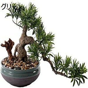 lH ̐lH~̓EFJpC~̓ItBX\bhEbhO[I[igtFCNvgEhZ~bNt[|bgt lHϗtA