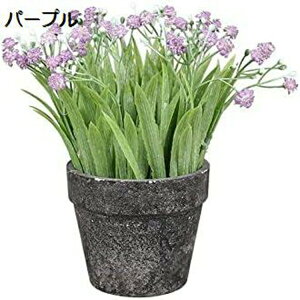 lHAJX~\E{[pvAgݍ킹fXNgbvlHAvX`bNt[O[vgԃV~[V~́AO[CG[