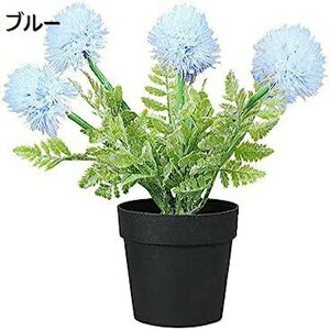 lHA^||V~[Vt[vX`bNAgݍ킹fXNgbvvX`bNt[ԃV~[V~̓rbObh