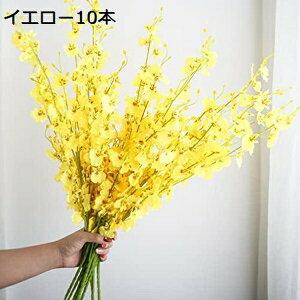  CeA IVW[ ԑ fB I[ig A[gt[ k  ] a  ƁAցAiX  p[eB[  v[g