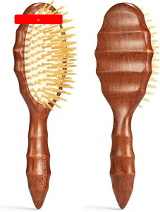 wAuV }bT[W  ؐ Õ fB[X Y ǂp phuV ? wAPA TT lC  PA щP P ܂Ȃ