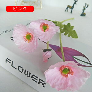  |s[ A[gt[ ͂Ȃ ΃PVԑ A lHA tFCNt[ 2{Zbg EFfBOu[P   u  fR[V CeA Be