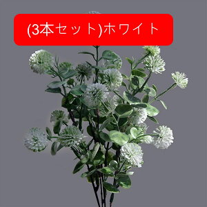  CeA tFCNt[ ^||̉ԑ ͂Ȃ Y tFCNt[ A[gt[ u[P LO  ސE v[g j rO  e[u   u