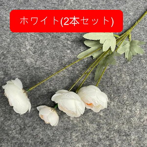 A[gt[  ͂Ȃ ԑ I[ig 4t[ k A u[P _CjO  iX  p[eB[  CeA ꂢ  Vz ̓ hV̓ v