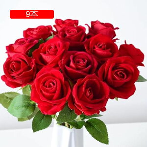 o  [Yԑ 9{Zbg  ԑ KN ԏ ͂Ȃ CeA o^Cf[ ̓ a Mtg }`bN g EGfBO NX}X p[eB[p