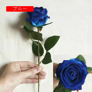 [Y  tFCNt[ ỏԑ u[P ͂Ȃ Y }eBbN A[gt[ CeA LO o^C v[g j rO  EGfBO  