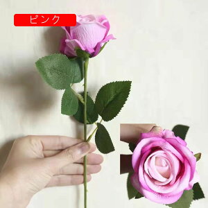 [Y  tFCNt[ ỏԑ u[P ͂Ȃ Y }eBbN A[gt[ CeA LO o^C v[g j rO  EGfBO  