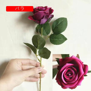 [Y  tFCNt[ ỏԑ u[P ͂Ȃ Y }eBbN A[gt[ CeA LO o^C v[g j rO  EGfBO  