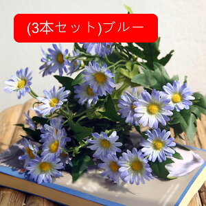 3{Zbg  fCW[ tFCN fCW[̉ԑ u[P c ͂Ȃ bsv A[gt[ CeA v[g j rO sNjbN e[u   AW 