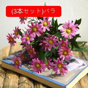 3{Zbg  fCW[ tFCN fCW[̉ԑ u[P c ͂Ȃ bsv A[gt[ CeA v[g j rO sNjbN e[u   AW 