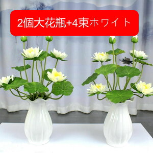  CeA k  ԕrt ԃZbg @̉ tFCNt[ A[gt[ ͂Ȃ lHϗtA  v[g ԑ u[P  d   u