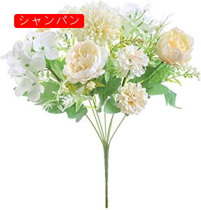 O  ͂Ȃ ԑ lHϗtA hCt[  {  ԉŃu[P CeA Bep 蕨 v[g  j rO[  K[f 