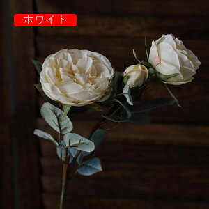  [Y tFCNt[ ỏԑ u[P ͂Ȃ Y }eBbN A[gt[ CeA LO o^C v[g j rO EGfBO   A