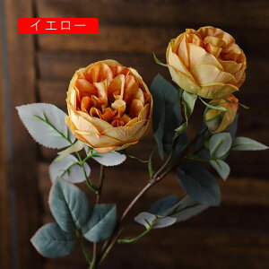  [Y tFCNt[ ỏԑ u[P ͂Ȃ Y }eBbN A[gt[ CeA LO o^C v[g j rO EGfBO   A