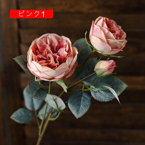  [Y tFCNt[ ỏԑ u[P ͂Ȃ Y }eBbN A[gt[ CeA LO o^C v[g j rO EGfBO   A