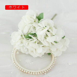  CeA AWTC 1{ XJCu[ ͂Ȃ A[gt[ ̓v[g Mtg 킢 j   X iX  p[eB[ a ԑ 蕨̉ lH