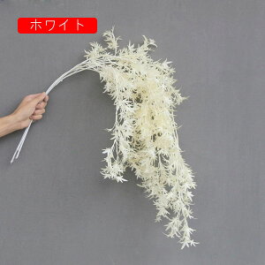  CeA  ɘCg ͂Ȃ A[gt[ ̓v[g Mtg 킢 j   X iX  p[eB[ a ԑ 蕨̉ lHϗtA