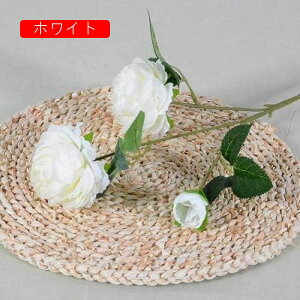 Ỏ  ͂Ȃ V~[V 蕨̉ ԑ CeA A[gt[ VN  X iX  p[eB[ Cxg   Mtg A[gt[i