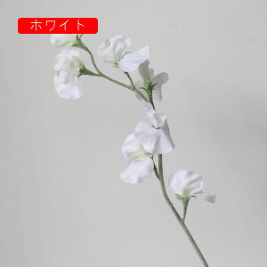  GhẺ A[gt[ lH ͂Ȃ tFCNt[ CeA k I[ig AW  u p[eB[  EFfBO fR[V j v