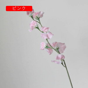  GhẺ A[gt[ lH ͂Ȃ tFCNt[ CeA k I[ig AW  u p[eB[  EFfBO fR[V j v