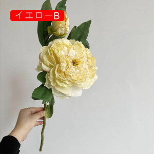 1{ O  ԑ CeA ͂Ȃ Mtg v[g A[gt[  X/iX p[eB[ rO K[fjO Q  p z[ /a ItBX/p[ 