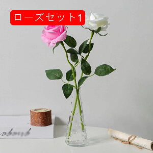  [Y tFCNt[ ỏԑ u[P KXԕrt ͂Ȃ Y ins A[gt[ CeA LO ̓ v[g j rO    AW B