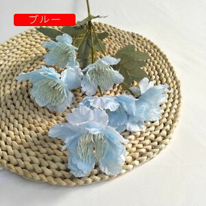 A[gt[  O ͂Ȃ ڂԑ A tFCNt[ 2{Zbg u[P FI   u CeA k   iX p[eB[  v[