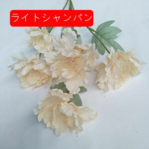 A[gt[  O ͂Ȃ ڂԑ A tFCNt[ 2{Zbg u[P FI   u CeA k   iX p[eB[  v[