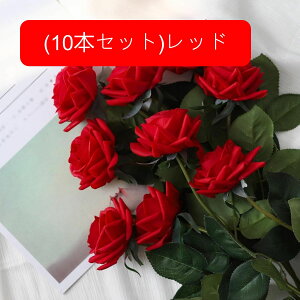  [Y tFCN ỏԑ u[P ͂Ȃ bsv A[gt[ CeA LO ސE ̓ hV̓ v[g j rO EGfBO   AW I