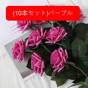  [Y tFCN ỏԑ u[P ͂Ȃ bsv A[gt[ CeA LO ސE ̓ hV̓ v[g j rO EGfBO   AW I