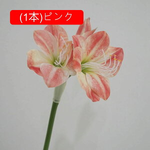 Nq  tFCNt[ ԑ u[P ͂Ȃ Y tFCNt[ A[gt[ CeA rO  ItBX   AW Be ] ސE v[g j