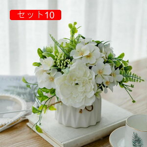 ԃZbg [Y Ԃ̉ԑ k  LC tFCNt[ u[P ͂Ȃ CeA rO ItBX   ʐ^Be Vj JXj ̓ v[g