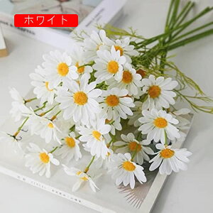  ԑ fCW[ 10{Zbg K[ff[W[ e lHϗtA ̓Mtg t̏ ͂Ȃ VN  ʐ^Be j v[g    