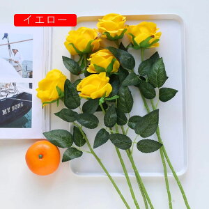  CeA o KN 5{  ͂Ȃ A[gt[ ̓v[g Mtg 킢 j   X iX  p[eB[ a ԑ 蕨̉ lHϗtA