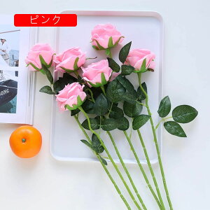  CeA o KN 5{  ͂Ȃ A[gt[ ̓v[g Mtg 킢 j   X iX  p[eB[ a ԑ 蕨̉ lHϗtA