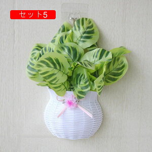  CeA Ǌ| k tFCNt[ ԑ A[gt[ ݂艺  lHϗtA  z[  u Vzj a ] Vz  Mtg 蕨 v[