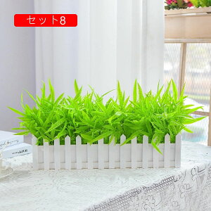 ԃZbg JX~\E Ԃ̉ԑ t lHϗtA LC tFCNt[ u[P ͂Ȃ CeA O ItBX  ʐ^Be  u Vj ̓M