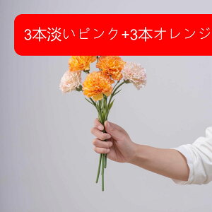  J[l[V o CeA tFCNt[ VNt[ sv ͂Ȃ A[gt[ t[AW k A  e[u DIY ԑ u[P Be