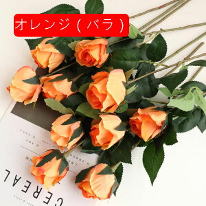  CeA IW1 5{ [Y o KN ͂Ȃ A[gt[ ̓v[g Mtg 킢 j   X iX  p[eB[ a ԑ 蕨̉