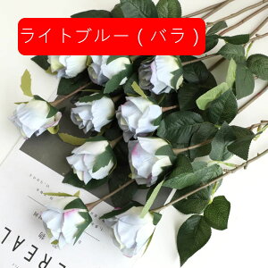  CeA IW1 5{ [Y o KN ͂Ȃ A[gt[ ̓v[g Mtg 킢 j   X iX  p[eB[ a ԑ 蕨̉