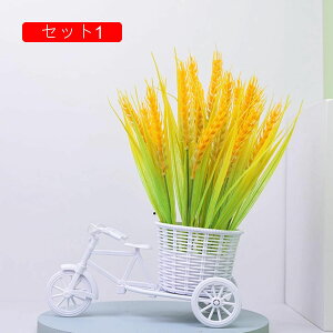  CeA  k tFCNt[ ԑ ~ A[gt[   z[  fXN  ԎԂ̒u Vzj a ]   v[g