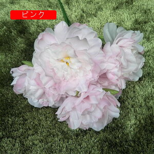 O  CeA A[gt[ ͂Ȃ ڂ ԑ A 51 tFCNt[ Ԃ̂ EFfBO lHԃu[P FI   i u p[eB[/iX/