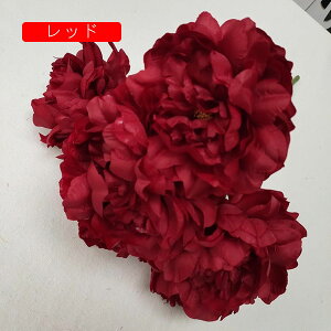 O  CeA A[gt[ ͂Ȃ ڂ ԑ A 51 tFCNt[ Ԃ̂ EFfBO lHԃu[P FI   i u p[eB[/iX/