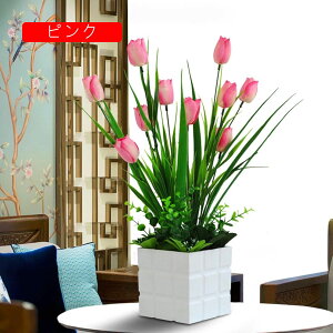 `[bv  CeA  ԃZbg tFCNt[ u[P bsv ͂Ȃ c Y JXj  Vj rO  x_ u 