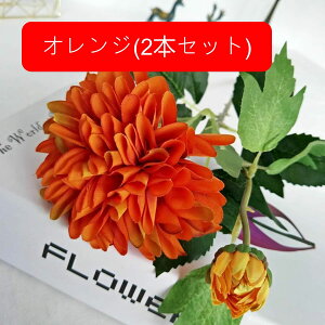  e A[gt[ ͂Ȃ ԑ CeA 1{ t[ {  LC lHAϏ  tFCNt[ u[P 傫  蕨 Vz zj 