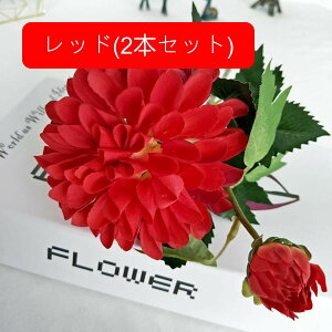  e A[gt[ ͂Ȃ ԑ CeA 1{ t[ {  LC lHAϏ  tFCNt[ u[P 傫  蕨 Vz zj 