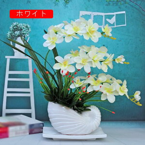 tFCNt[ Ӓ ~  CeA  J^c`̉ԕr ԃZbg u[P A c LC A JXj  Vj Vz  x_ u 